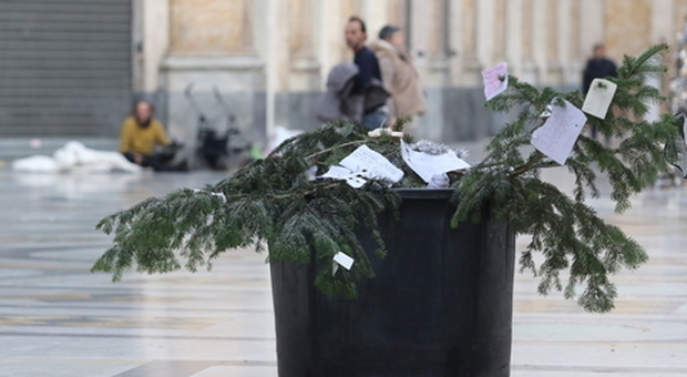 Albero di Natale rubato in Galleria: «È un'offesa a tutta la città di Napoli»