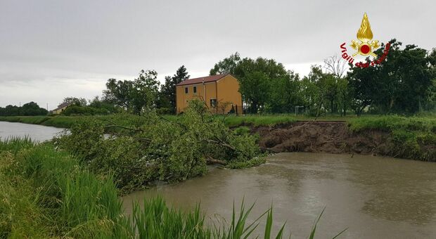 Pincara, albero caduto nel canale