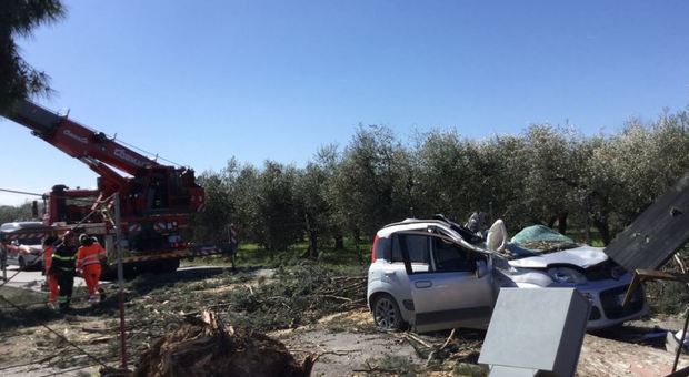 Roma, albero si abbatte su un'auto: morto un quarantenne