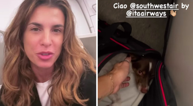 Elisabetta Canalis si prende gioco della compagnia aerea che vieta l'ingresso a bordo ai cani: lei nasconde il suo sotto il sedile