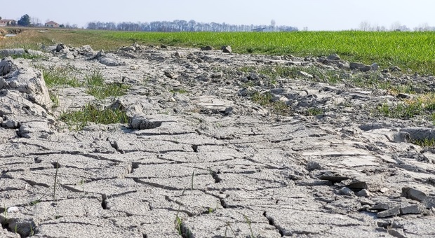 Agricoltura, solo in Polesine la siccità ha causato danni per 100 milioni, decimati i raccolti di mais, soia e frutta