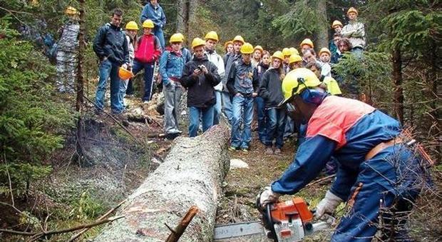 Invasione dei boschi: accordo ad Agrimont per gestire al meglio le risorse forestali