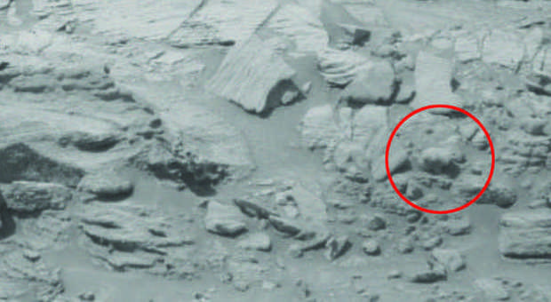 Il presunto orso polare fotografato su Marte (Nasa)