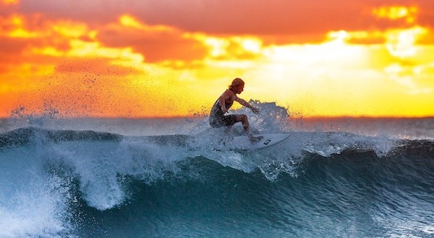Australia, prove di normalità: nelle spiagge di Sydney tornano i surfisti