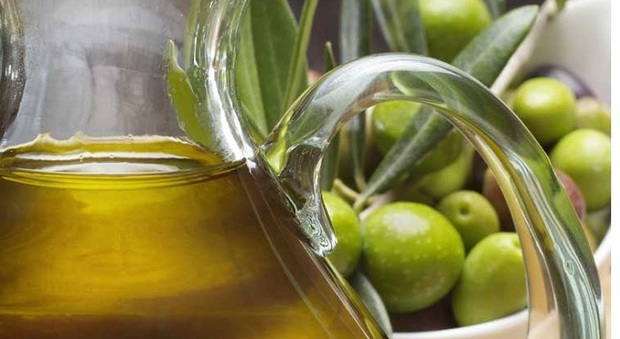L'olio extravergine d'oliva, la ricchezza di Caiazzo