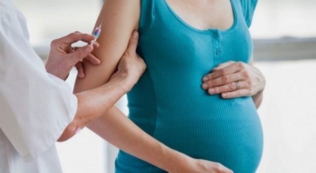 Vaccino, Pfizer lancia sperimentazione su 4mila donne in gravidanza