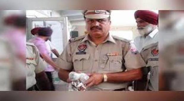 Il piccione Kabootar fermato dalla polizia indiana
