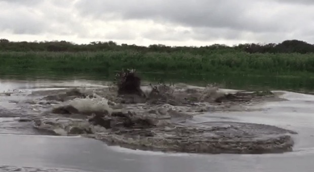 Usa, getta un secchio d'acqua e il fiume "esplode": svelato il mistero del video da milioni di clic