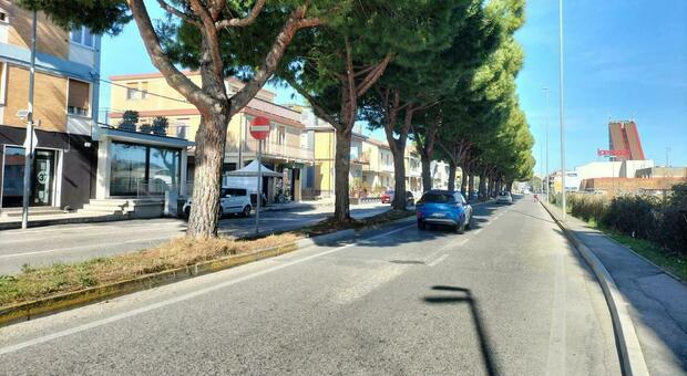 Pesaro, il caso di Via Solferino: percorso a ostacoli e corsia impercorribile per le buche