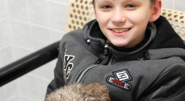 Bimbo va al canile e adotta un cane di 14 anni malato, il gesto di Tristan commuove tutti