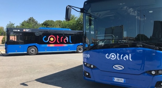 Trasporto pubblico Cotral, in arrivo 20 bus Solaris per le linee del Cassinate
