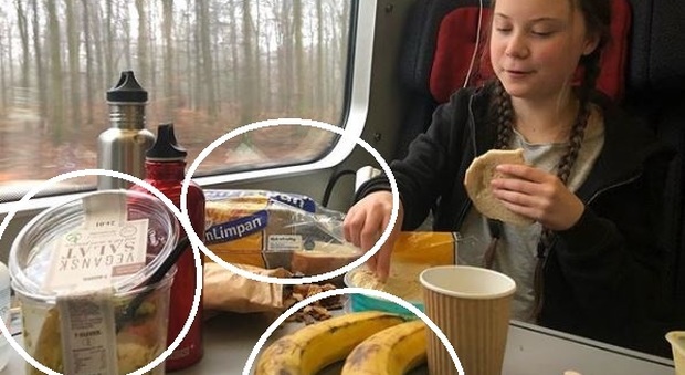 Greta Thunberg, critiche per la sua foto in treno: il pranzo "con plastica" non va giù agli ambientalisti