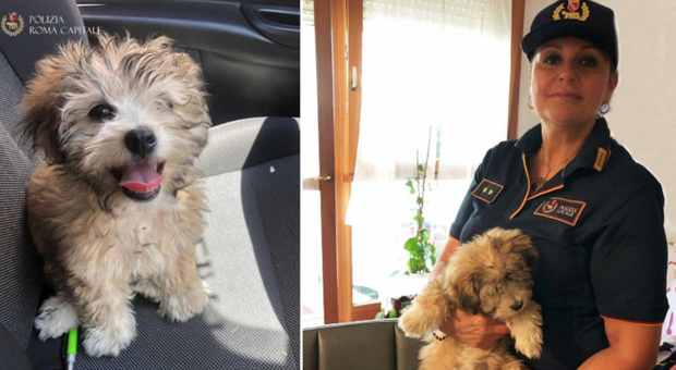Vigilessa adotta la cagnolina di tre mesi usata per chiedere l'elemosina sotto il sole a 40 gradi: «Dovevo salvarla da morte certa»