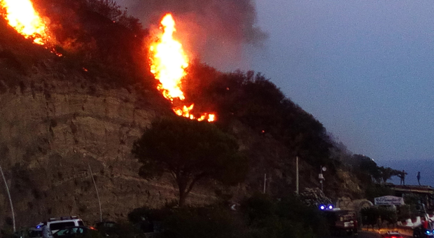 Ischia, brucia i rifiuti ma perde il controllo delle fiamme e provoca un incendio: distrutto un ettaro di macchia mediterranea
