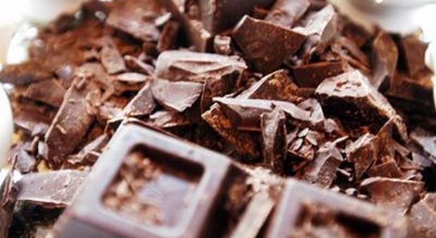 "La cioccolata rende intelligenti": ecco cosa rivela un nuovo studio