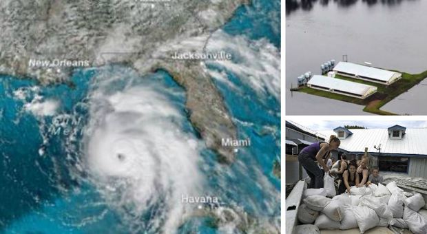 Uragano Michael sempre più potente, le autorità Usa: «E' molto pericoloso», già 13 morti in America Centrale