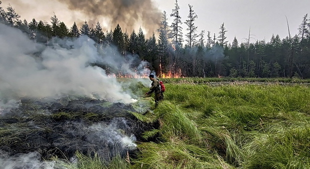Il fumo degli incendi in Siberia raggiunge il Polo Nord per la prima volta: l'allarme