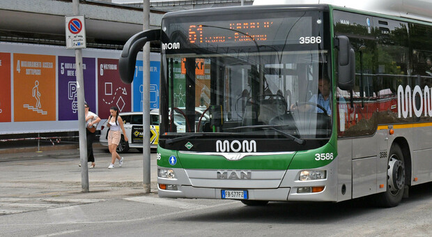 Baby bulli sui bus della Mom a Treviso, raddoppiano le guardie: «Troppe aggressioni ai nostri autisti»