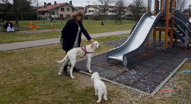 Basta cani senza guinzaglio nei parchi pubblici: scattano le multe