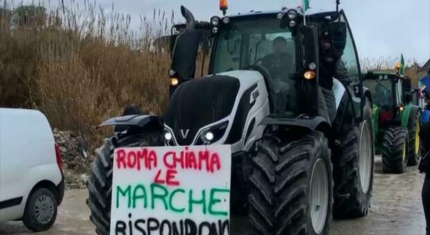 La marcia dei trattori arriva anche a Urbino, ecco le vie interessate al corteo di protesta