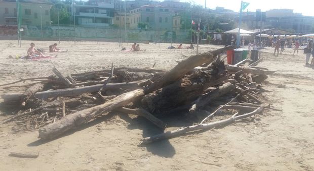 La segnalazione WhatsApp "Ecco com'è la spiaggia di Falconara"