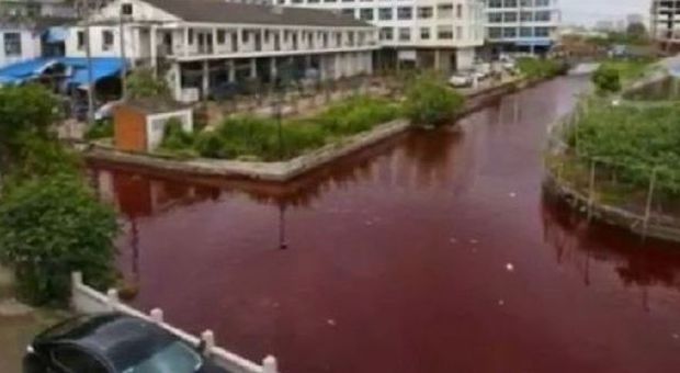 Cina, i fiumi si tingono di rosso sangue