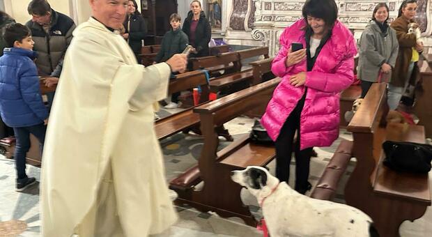 Cani e gatti angeli custodi: benedizione speciale in chiesa