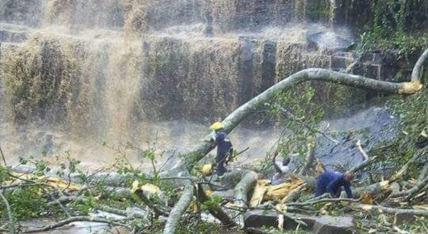 L'albero precipita in un lago, ragazzini travolti: 18 morti. "Stavano facendo il bagno"