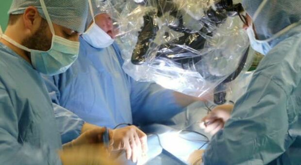 Prelievo di fegato, reni e cornee all'ospedale San Salvatore di Pesaro: intervento riuscito