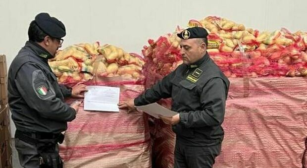 Patate importate dall'estero immerse nella terra rossa e vendute come salentine: sequestrati 33mila kg di prodotto