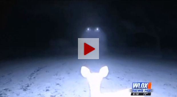 VIDEO| Ufo avvistato e filmato nel Mississippi: «È volato via nel cielo»