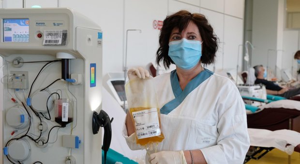 Virus Piemonte, l'assessore alla Sanità: a Novara un paziente salvato con il plasma
