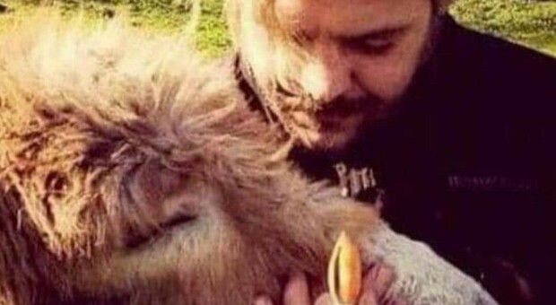 Andrea Lo Cicero, l'asina per la pet therapy uccisa da un cacciatore: «Mi hanno ammazzato una figlia»