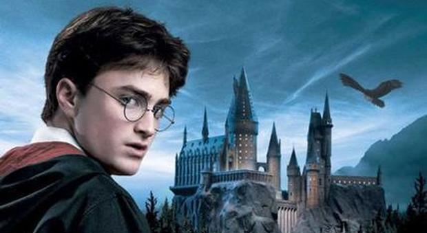 Un'immagine di Harry Potter