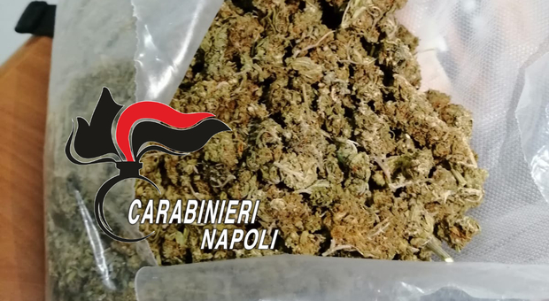 Marijuana sequestrata dai carabinieri