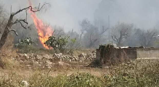 Incendio nelle campagne di Zollino, il forte vento spinge le fiamme verso le case