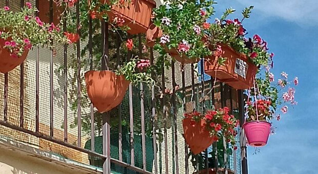 balconi fioriti