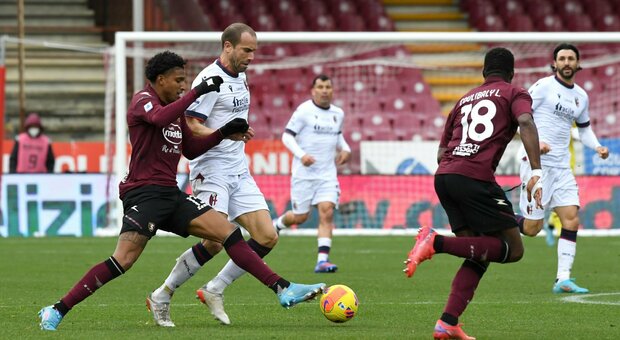 Salernitana-Bologna 1-1, Zortea risponde ad Arnautovic: è il quarto pareggio consecutivo per i campani