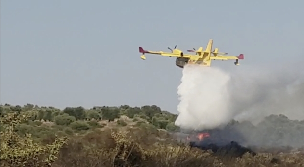 Incendio nelle campagne del Barese: due canadair al lavoro per spegnere le fiamme