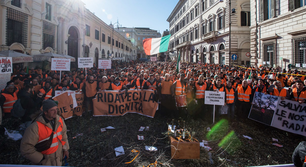 Olivicoltura, migliaia di gilet arancioni a Roma. Centinaio: «Sì al decreto d'urgenza»