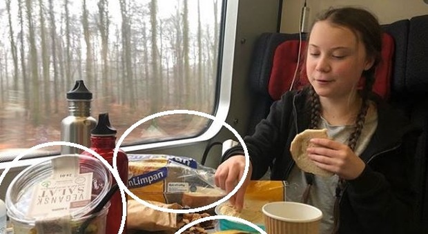 Greta Thunberg, critiche per la sua foto in treno: il pranzo "con plastica" non va giù agli ambientalisti