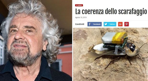 immagine Beppe Grillo non vuole il voto: «No ai barbari». ​Di Maio: «Beppe è con noi»