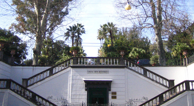 L'ingresso dell'Orto Botanico di Napoli