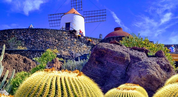 Giardino dei Cactus a Lanzarote