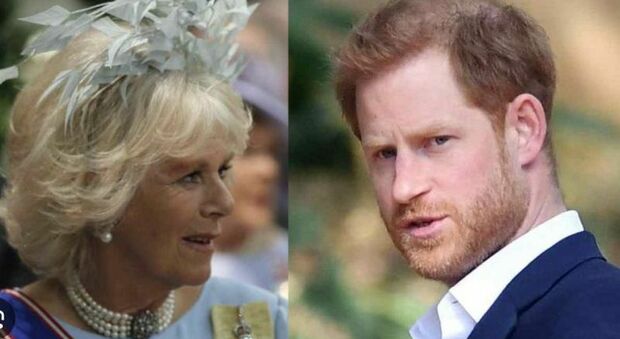 La Regina Camilla non permetterà a Harry di incontrare Re Carlo da solo: «Non si fida di lui, è pericoloso»
