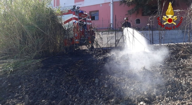 Monteroberto, fiamme nel canneto vicino ad alcuni edifici industrali