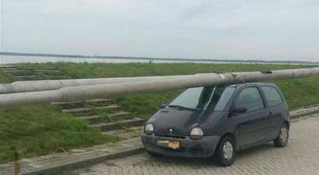 Olanda, uomo ubriaco ruba i pali della corrente elettrica e li carica sulla macchina