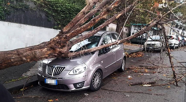 Maltempo a Napoli, città ferita dal primo vero temporale: voragini, crolli e paura