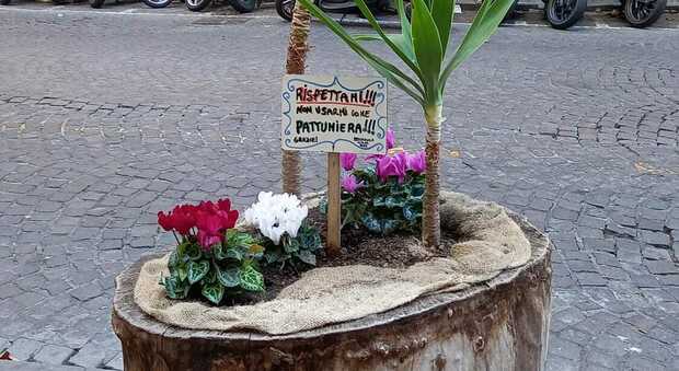 A via Scarlatti una pianta chiede di non essere usata come pattumiera