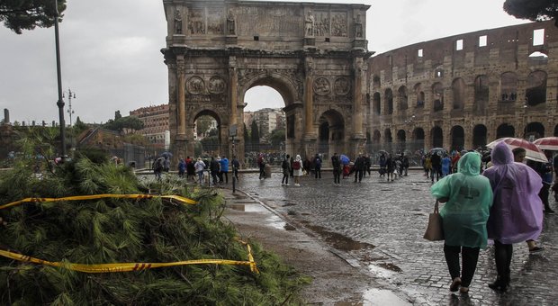 Roma, alberi caduti da Prati all'Appio: ferito un automobilista a Valmontone